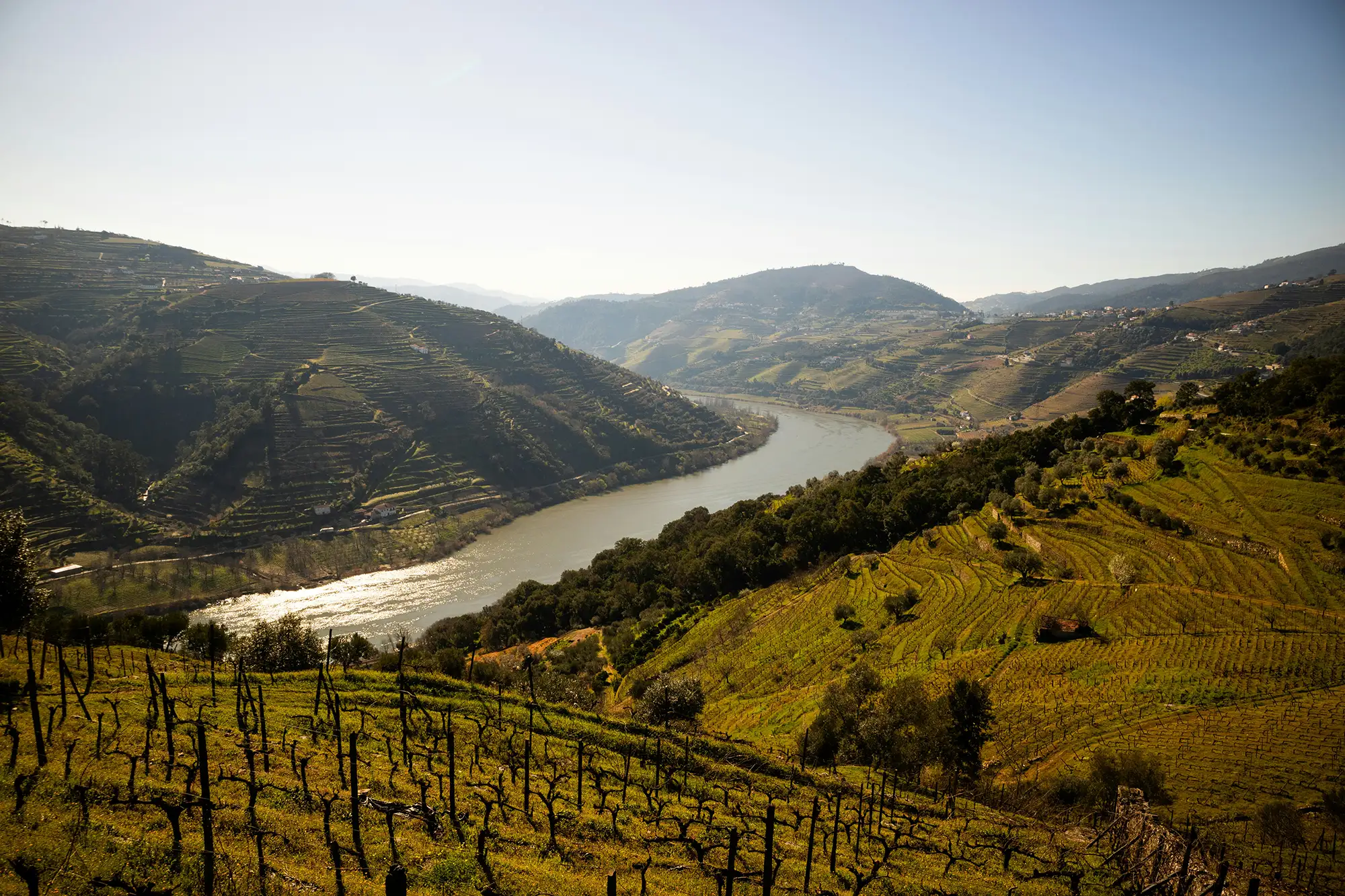 Douro Valley landscape, a common day trip from Porto, Portugal — known for its terraced vineyards and river views